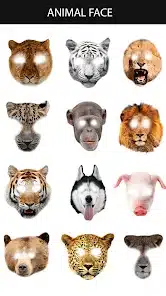 تحميل تطبيق Animal Face App للاندرويد والايفون 2025 اخر اصدار مجانا