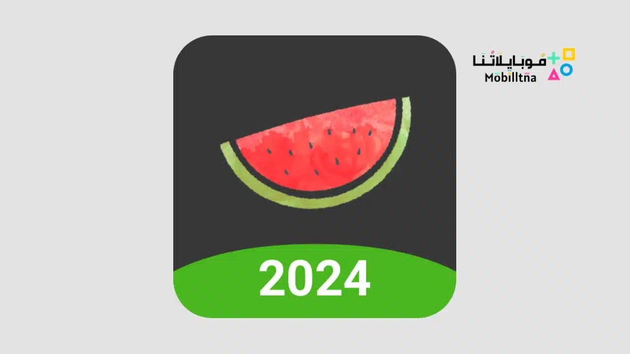 Melon VPN Apk