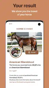 تحميل تطبيق Horse Scanner للاندرويد والايفون 2025 اخر اصدار مجانا