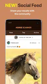 تحميل تطبيق Horse Scanner للاندرويد والايفون 2025 اخر اصدار مجانا