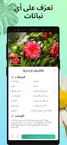 تحميل تطبيق PictureThis – Plant Identifier  للاندرويد والايفون 2025 اخر اصدار مجانا