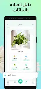 تحميل تطبيق PictureThis – Plant Identifier  للاندرويد والايفون 2025 اخر اصدار مجانا