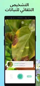 تحميل تطبيق PictureThis – Plant Identifier  للاندرويد والايفون 2025 اخر اصدار مجانا