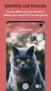 تحميل تطبيق Cat Scanner: Breed Recognition مهكر Apk للاندرويد والايفون 2025 اخر اصدار مجانا