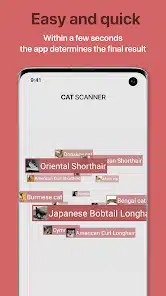 تحميل تطبيق Cat Scanner: Breed Recognition مهكر Apk للاندرويد والايفون 2025 اخر اصدار مجانا