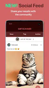 تحميل تطبيق Cat Scanner: Breed Recognition مهكر Apk للاندرويد والايفون 2025 اخر اصدار مجانا