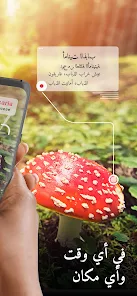 تحميل تطبيق Picture Mushroom مهكر Apk للاندرويد والايفون 2025 اخر اصدار مجانا