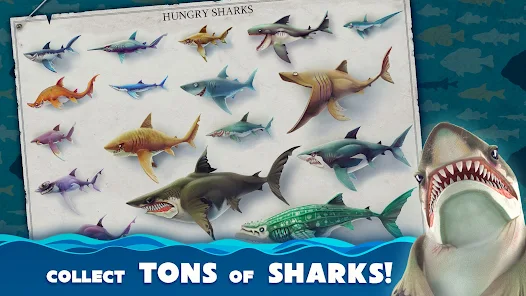 تحميل لعبة Hungry Shark World مهكرة Apk للاندرويد والايفون 2025 اخر اصدار مجانا