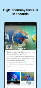 تحميل تطبيق Picture Fish - Fish Identifier مهكر Apk للاندرويد والايفون 2025 اخر اصدار مجانا