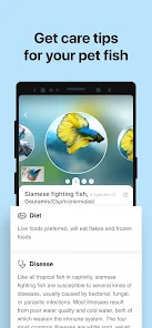 تحميل تطبيق Picture Fish - Fish Identifier مهكر Apk للاندرويد والايفون 2025 اخر اصدار مجانا