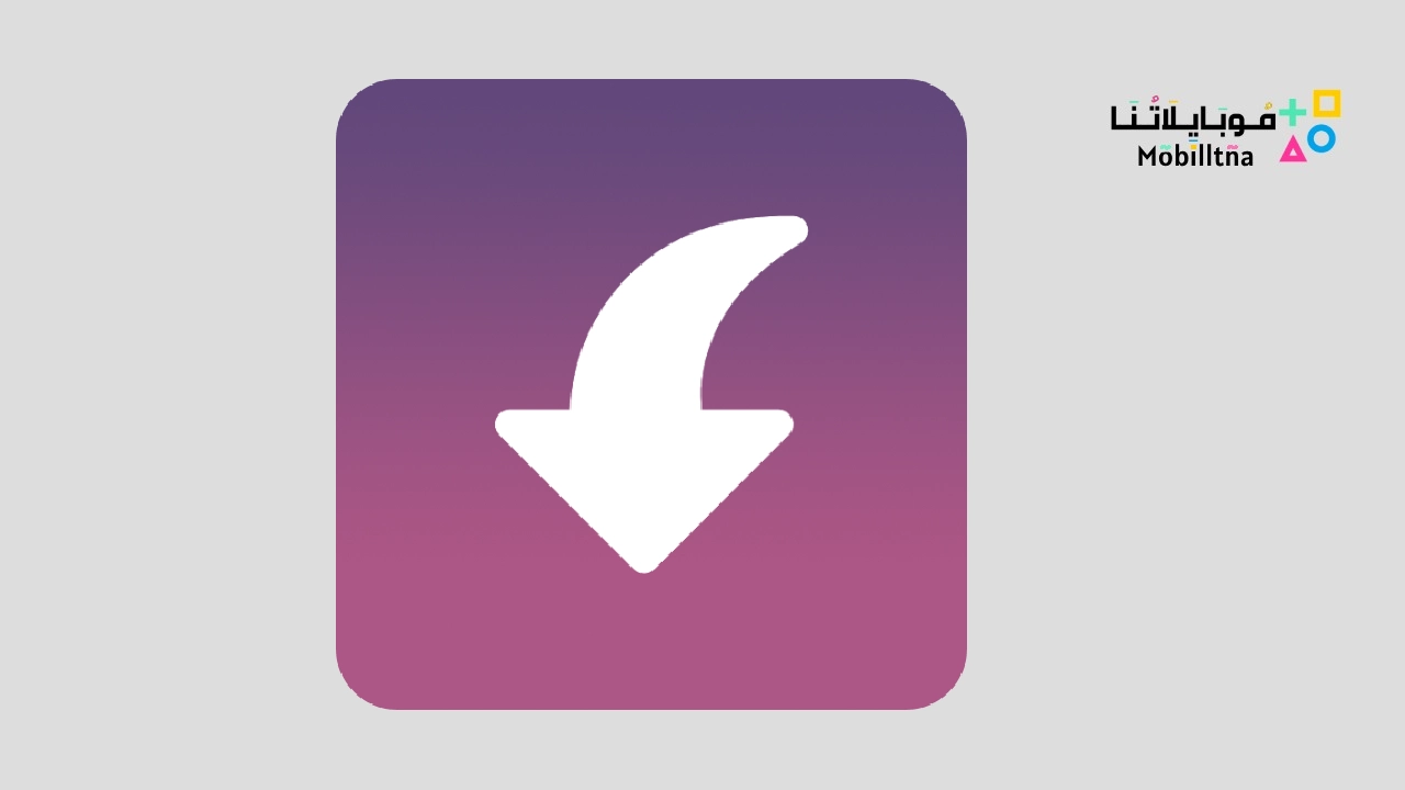 Insget – Instagram Downloader