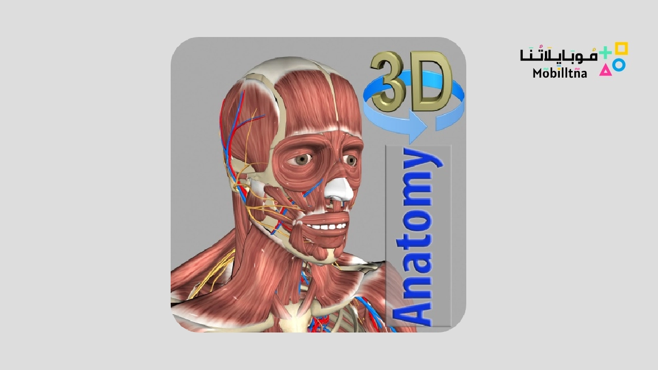 3D Anatomy