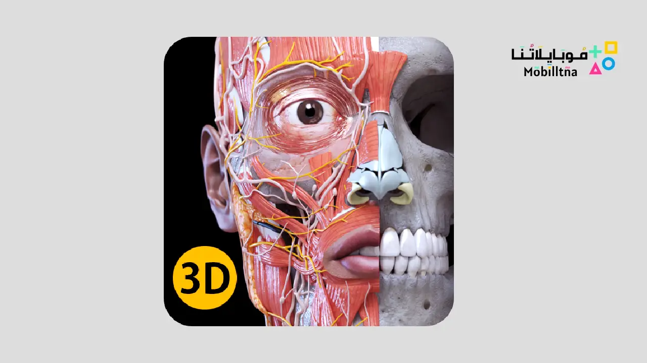 Anatomy 3D Atlas