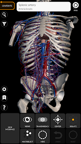 تحميل تطبيق Anatomy 3D Atlas لدراسة علم التشريح البشري للاندرويد والايفون 2025 اخر اصدار مجانا