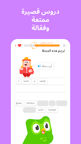 تحميل تطبيق دولينجو بلس Duolingo مهكر Apk للاندرويد والايفون 2025 اخر اصدار مجانا