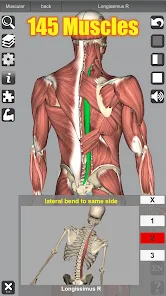 تحميل تطبيق 3D Anatomy مهكر Apk للاندرويد والايفون 2025 اخر اصدار مجانا