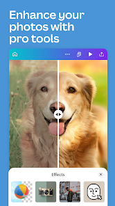 تحميل تطبيق كانفا برو Canva Pro مهكر مدفوع Apk للاندرويد والايفون 2025 اخر اصدار مجانا